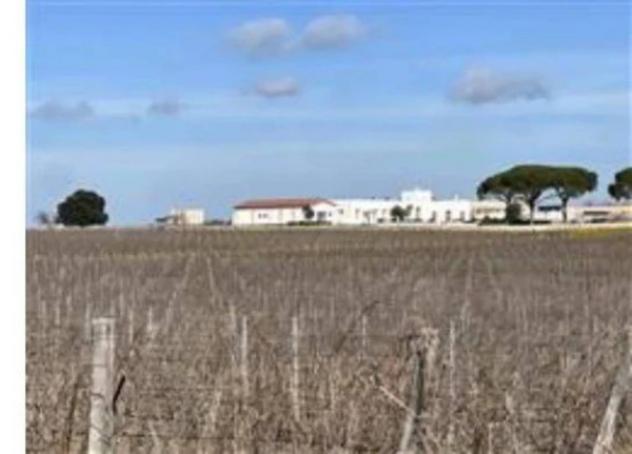 Immobile in asta di 1524 m² in vendita a Corato - Foto 11