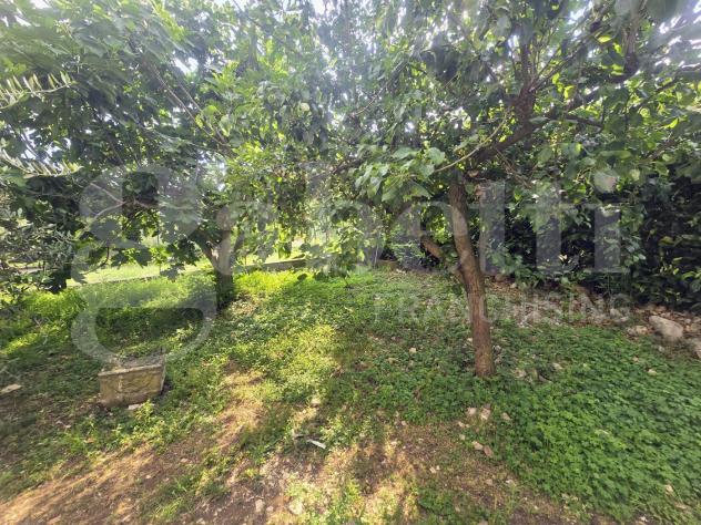 Villa singola - Piglio . Rif.: Cod. rif 3329448VRG - Foto 6