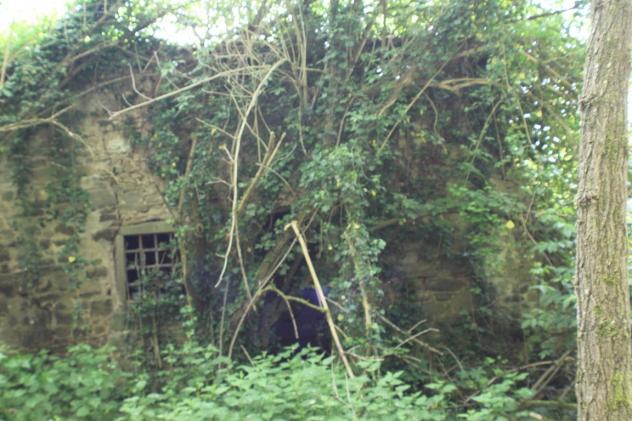 VENDESI COLONICA DA RESTAURARE IN VICCHIO LOCALITA' VIGNALE - Foto 10