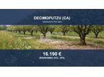 Immobile in asta di 7867 m² in vendita a Decimoputzu