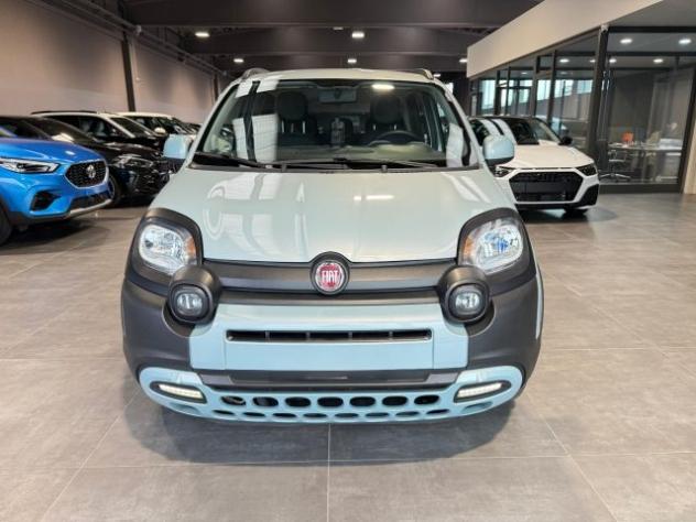 FIAT New Panda 1.0 FireFly 71cv Hybrid City Cross Usata Torino rif. 22432102 - Foto 2