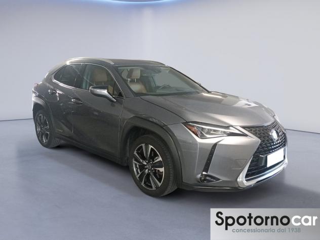 Lexus UX Hybrid Premium 2WD - Foto 6