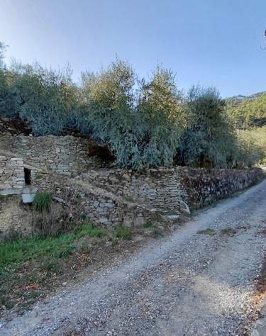 Rustico in vendita a Vicopisano 400 mq Rif: 1444699 - Foto 9