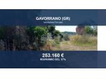Immobile in asta di 300000 m² in vendita a Gavorrano