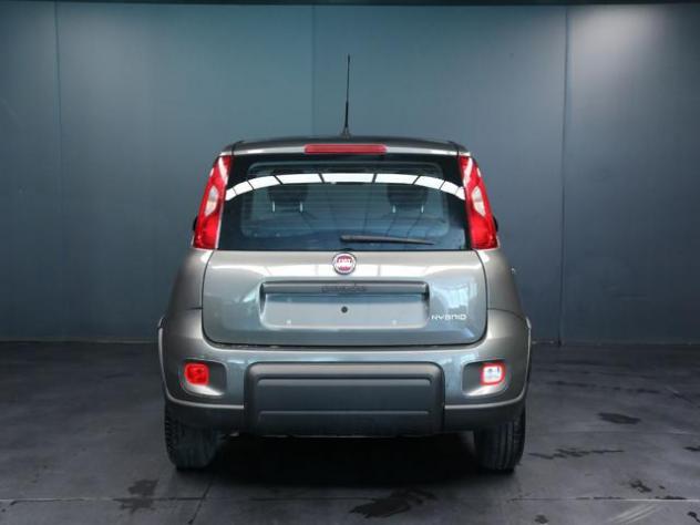 FIAT Panda 1.0 FireFly S&S Hybrid rif. 23817010 - Foto 4
