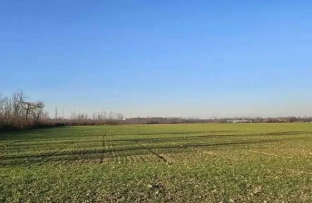 Immobile in asta di 54095 m² in vendita a Dairago - Foto 5