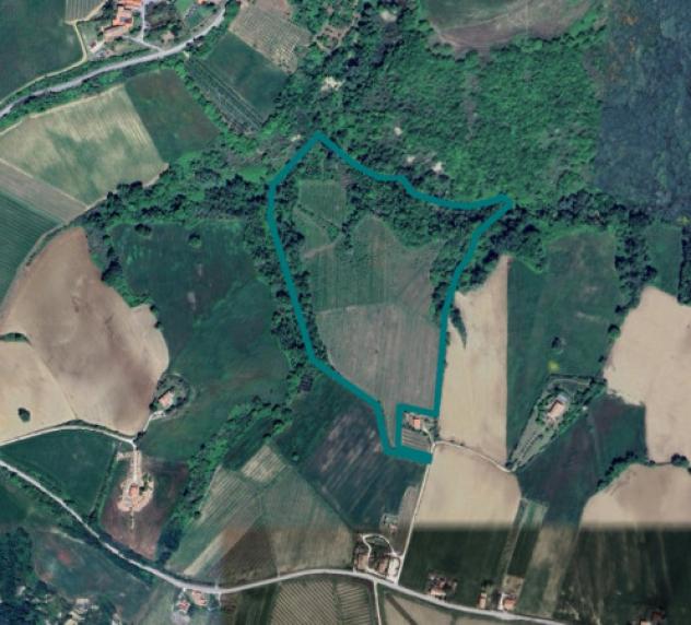 Immobile in asta di 109277 m² in vendita a Rosora - Foto 2