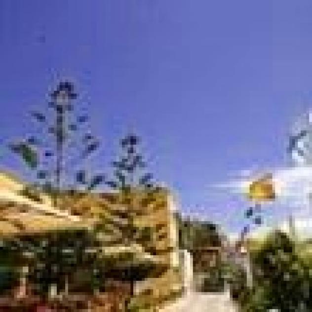 Associazione Sole Mediterraneo - Foto 4