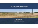 Immobile in asta di 14040 m² in vendita a Cellino San Marco