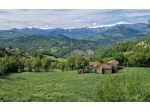 RUSTICI CON TERRENO E BOSCO