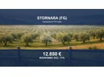 Immobile in asta di 18536 m² in vendita a Stornara