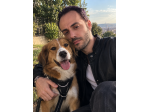 Dog Sitter Torino  Pensione e Cura del Tuo Cane