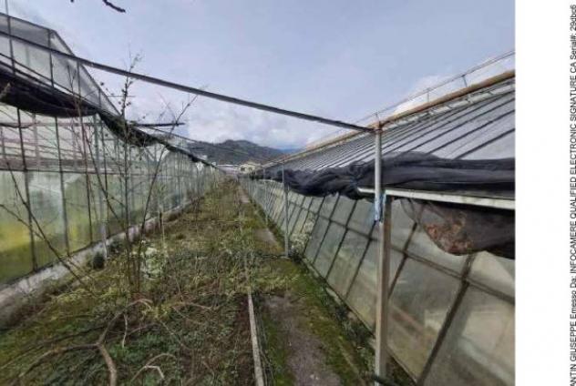 Immobile in asta di 26500 m² in vendita a Vittorio Veneto - Foto 4