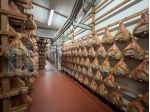 Artigianali in vendita a Savignano sul Panaro