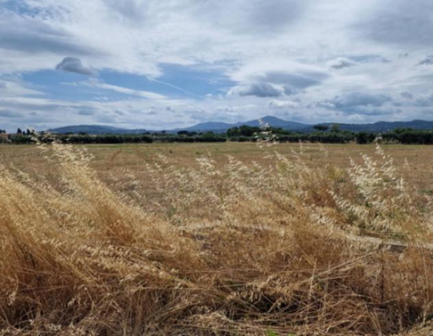 Immobile in asta di 32600 m² in vendita a Ciampino - Foto 4