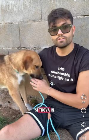 MOCKY CERCA UN AMICO AMOREVOLE CUCCIOLO IN ADOZIONE - Foto 3