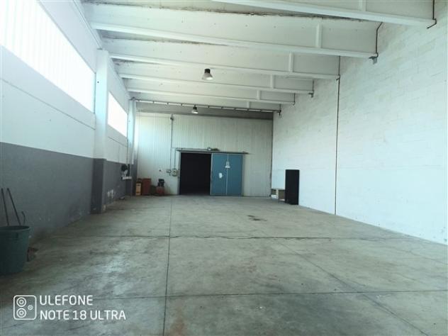 USINI periferia CAPANNONE di 400mq circa com cellafrigo e ufficio - Foto 9