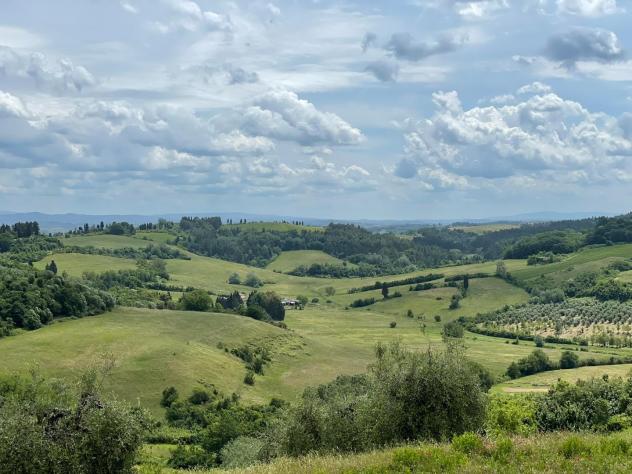 Azienda agricola in vendita a Calenzano - San Miniato 500 mq Rif: 1424286 - Foto 2
