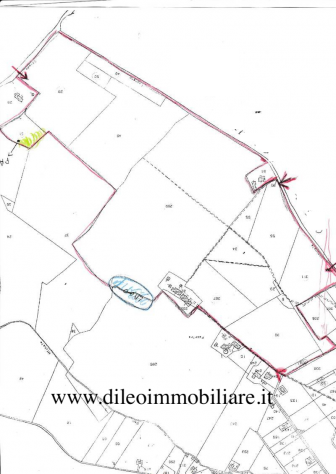 Casale in vendita a Pesaro - Foto 19