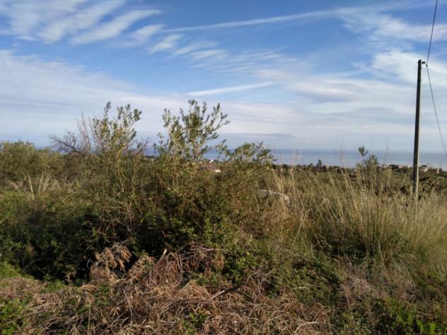 Agricolo in Contrada Rovetto - Foto 2