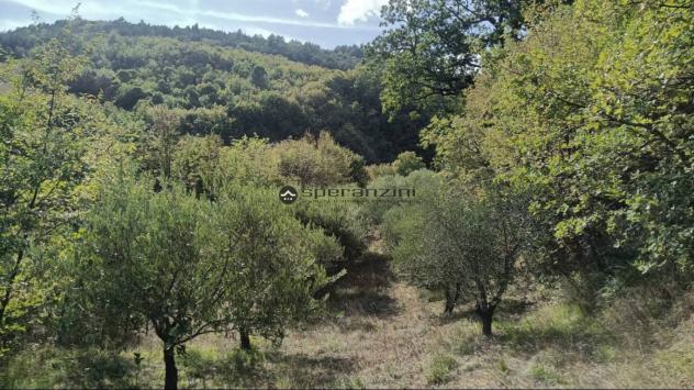 TORRICELLA: Fossombrone località torricella nell antico borgo medievale, sormontato dai ruderi di una rocca, da cui si dominava la valle del tarugo, a - Foto 8