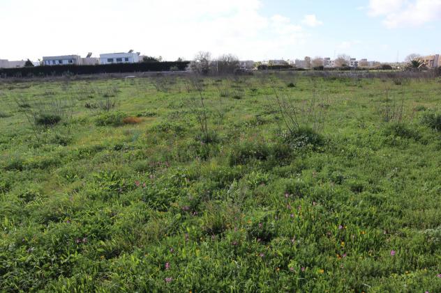 Commerciale Altro in vendita a Ragusa, Bruscé - Foto 7