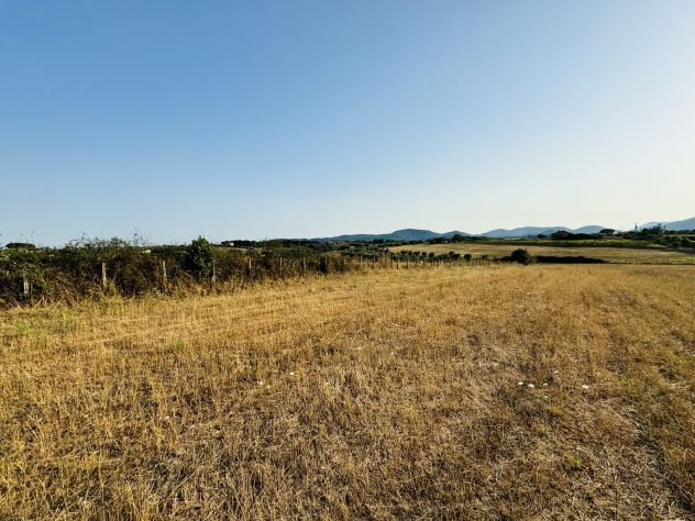 Terreno Agricolo in Bracciano - Foto 7
