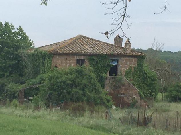 Terreno con casale in vendita a Civita Castellana - Via di Celle - Foto 6