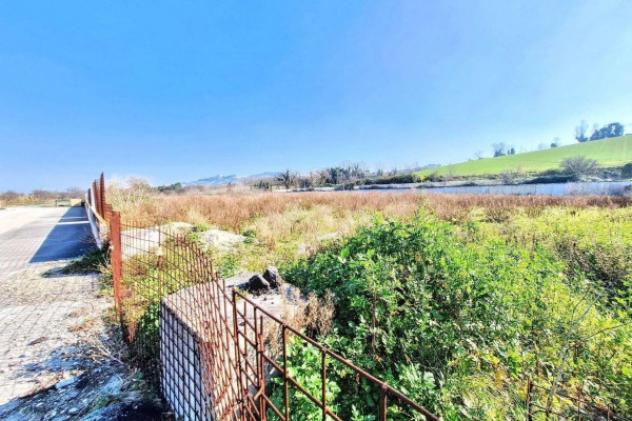Immobile in asta di 13347 m² in vendita a Montelupone - Foto 5