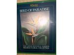 POSTER con CONRICE verde