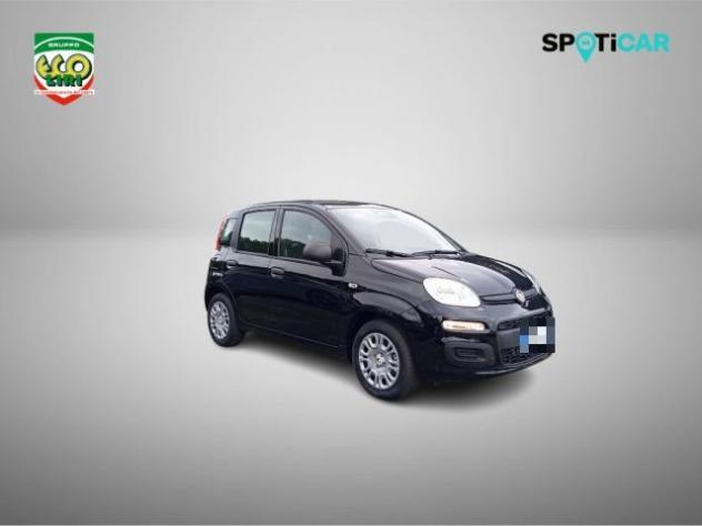 FIAT Panda 1.0 FireFly S&S Hybrid+GPL rif. 24175603 - Foto 3