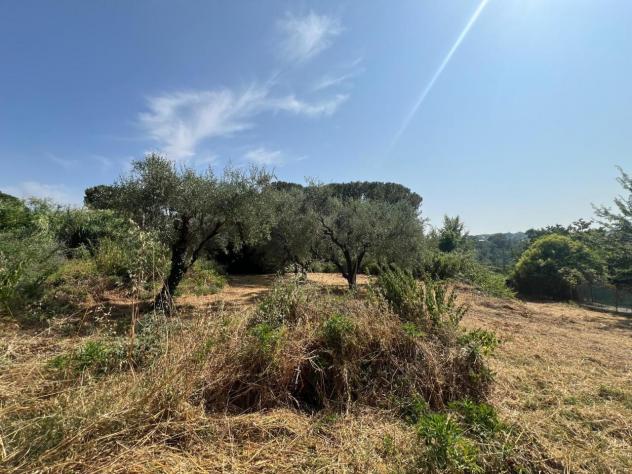 Villa in vendita a Civitella San Paolo - Foto 20