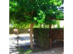 Borgo Verde S.r.l.