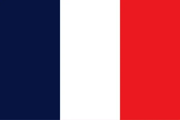 Cours de français en Ligne (Tout niveau)