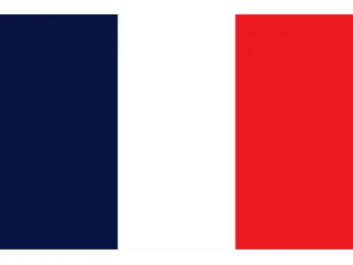 Cours de français en Ligne (Tout niveau)