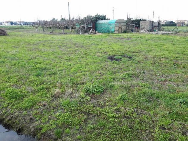 Terreno agricolo in vendita a San Frediano a Settimo - Cascina 4000 mq Rif: 887561 - Foto 2