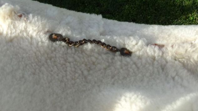 Montone shearling originale uomo - Foto 6