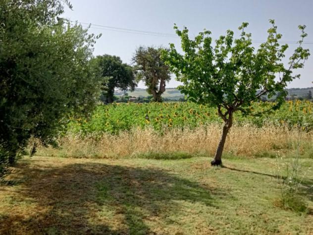 Fano, a pochi passi dal centro abitato di bellocchi, immerso nel verde e comodamente accessibile dalle principali vie di comunicazione, proponiamo in - Foto 11