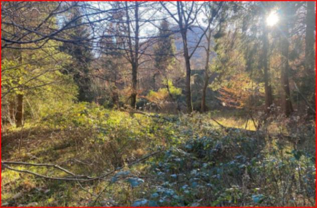 Immobile in asta di 19680 m² in vendita a Valganna - Foto 4