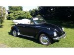 AFFITTO MAGGIOLONE CABRIO