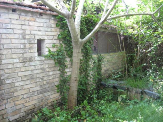 Immobile in asta di 191 m² con più di 5 locali in vendita a Fermo - Foto 2