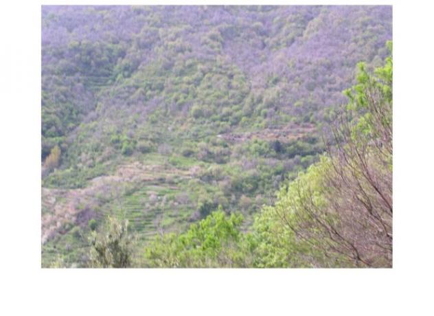 Immobile in asta di 9980 m² in vendita a Scaletta Zanclea - Foto 9