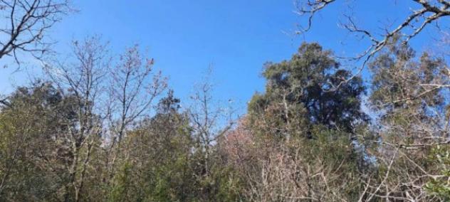 Immobile in asta di 165 m² in vendita a Monteriggioni - Foto 3