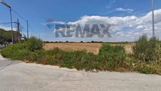Terreno in vendita a Noto - Foto 3