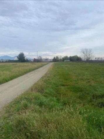 Immobile in asta di 532 m² con più di 5 locali e box auto in vendita a Scalenghe - Foto 11