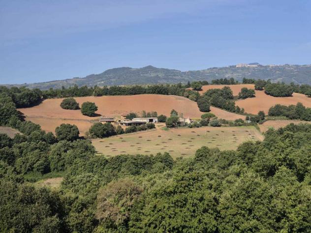 Seminativo in vendita a Civitella Paganico - Foto 2