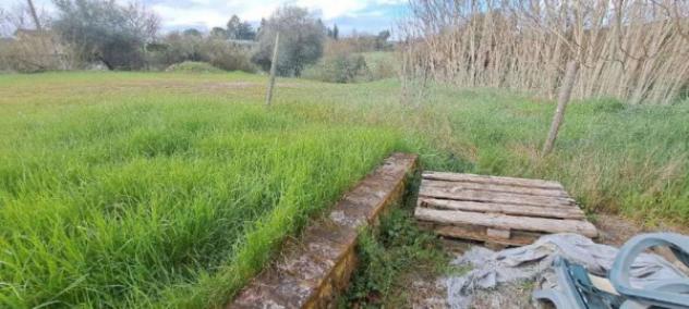Immobile in asta di 914830 m² in vendita a Monteriggioni - Foto 12