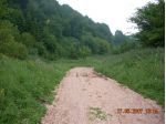101 ettari fondo ex malga boscata