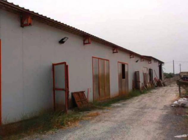 Immobile in asta di 1578 m² in vendita a Castel Viscardo - Foto 4