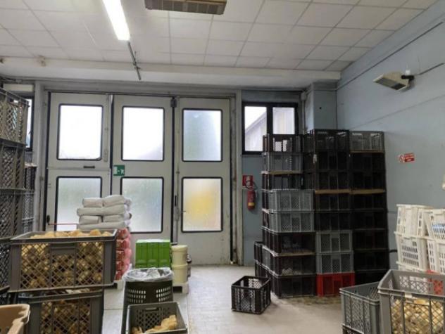 Immobile in asta di 1071 m² in vendita a Serravalle Sesia - Foto 10